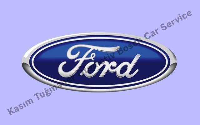 Mardin Ford Servisi