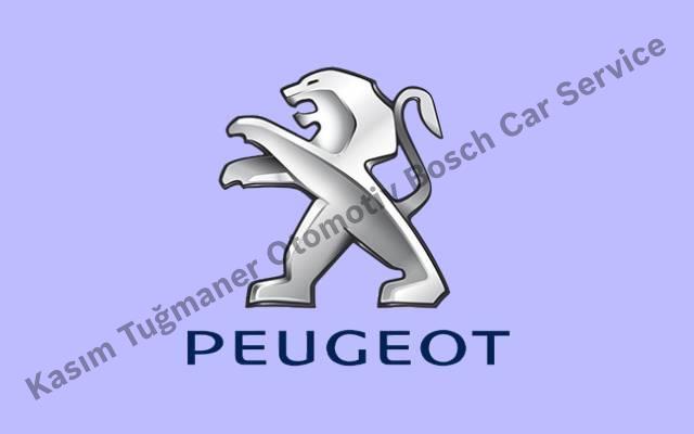 Mardin Peugeot Servisi